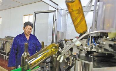 2019年西藏非公經濟擴量提質活力澎湃取得豐碩成果