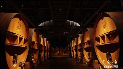 《探索&middot;發(fā)現(xiàn)》塞上江南:農(nóng)業(yè)文明與工業(yè)文明和諧相處的宜居新寧夏