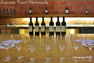 波爾多紅酒之魂 梅多克產(chǎn)區(qū)的葡萄酒銷售與市場(chǎng)魅力