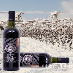紫隆山紅寶石冰酒 品味時(shí)光凝萃，共創(chuàng)財(cái)富未來——通化紫隆山葡萄酒廠火熱招商